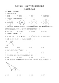 广东省茂名市高州市2021-2022学年七年级下学期期末数学试题(word版含答案)