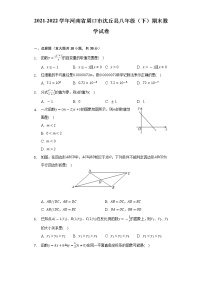 2021-2022学年河南省周口市沈丘县八年级（下）期末数学试卷-（Word解析版）