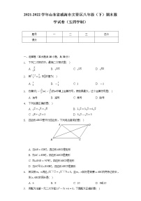 2021-2022学年山东省威海市文登区八年级（下）期末数学试卷（五四学制）（Word解析版）