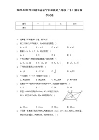 2021-2022学年湖北省咸宁市通城县八年级（下）期末数学试卷（Word解析版）