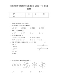 2021-2022学年湖南省怀化市通道县七年级（下）期末数学试卷（Word解析版）