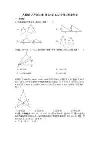 数学八年级上册第十二章 全等三角形12.2 三角形全等的判定优秀综合训练题