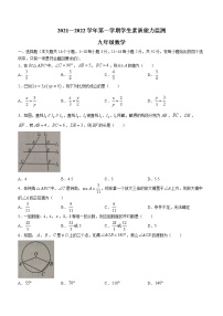 河北省保定市定兴县2021-2022学年九年级上学期期末数学试题(word版含答案)