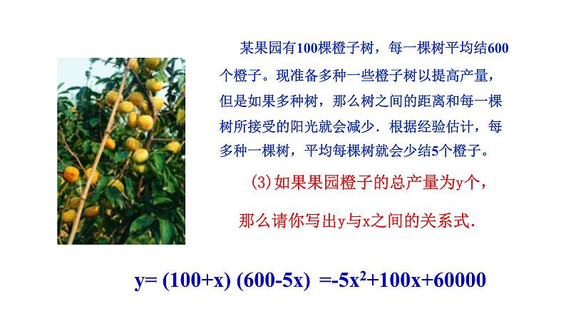 2021-2022 北师大版 数学 九年级下册 2.1 二次函数 课件第7页