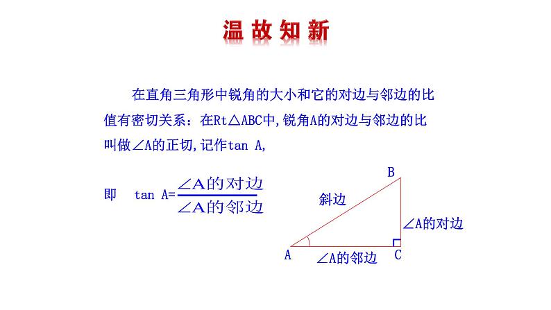 2021-2022 北师大版 数学 九年级下册 1.1.2 锐角三角函数课件第2页