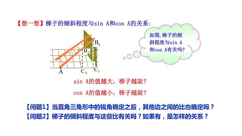 2021-2022 北师大版 数学 九年级下册 1.1.2 锐角三角函数课件第7页