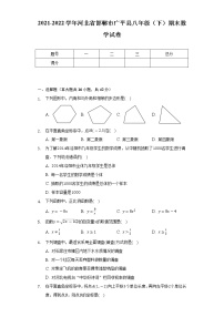 2021-2022学年河北省邯郸市广平县八年级（下）期末数学试卷-（Word解析版）