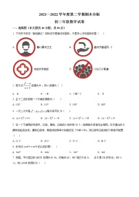 广东省深圳市罗湖区2021-2022学年八年级下学期期末数学试题(word版含答案)