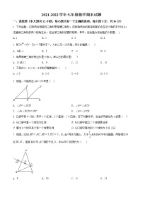 山东省东营市利津县2021-2022学年七年级下学期期末数学试题(word版含答案)