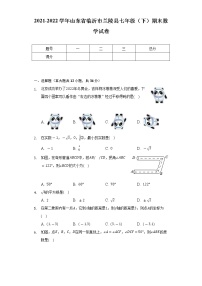 2021-2022学年山东省临沂市兰陵县七年级（下）期末数学试卷（Word解析版）