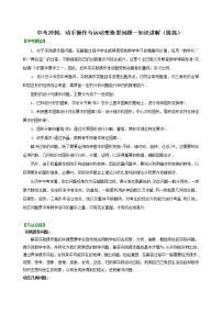 中考数学一轮总复习27《动手操作与运动变换型问题》知识讲解+巩固练习（提高版）（含答案）