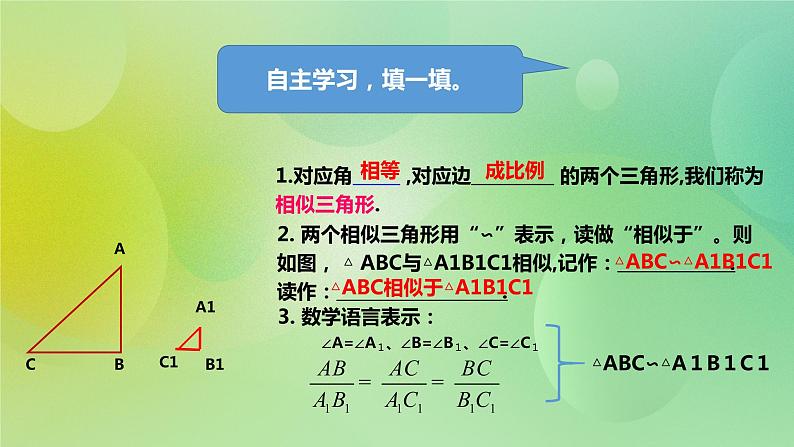 华师大版9上数学 23.3.1 相似三角形 课件04