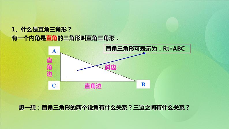 华师大版9上数学 24.2 直角三角形的性质 课件02