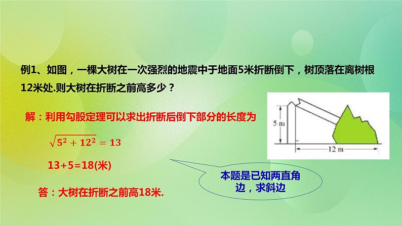 华师大版9上数学 24.4解直角三角形 课件03