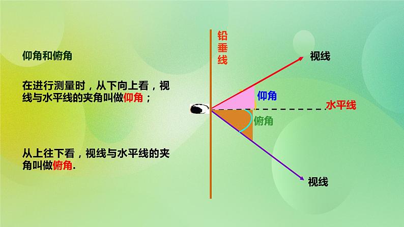 华师大版9上数学 24.4解直角三角形 课件07