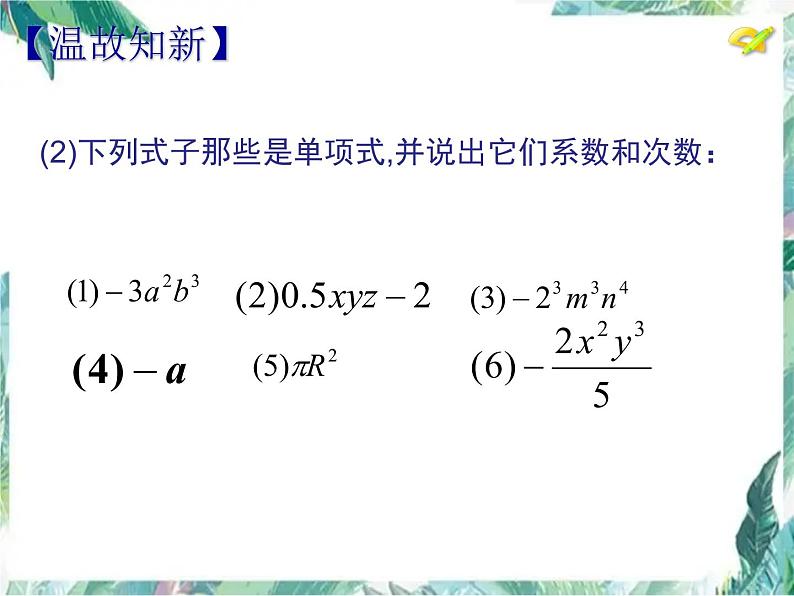 人教版七年级数学上 整式复习 课件第4页