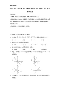 2021-2022学年黑龙江省鹤岗市绥滨县八年级（下）期末数学试卷（Word解析版）