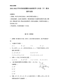 2021-2022学年河南省濮阳市油田联考七年级（下）期末数学试卷（Word解析版）