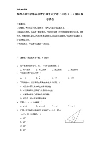 2021-2022学年吉林省白城市大安市七年级（下）期末数学试卷（Word解析版）