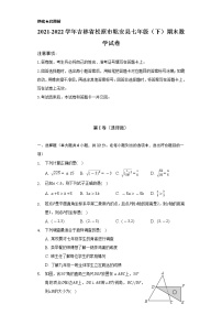 2021-2022学年吉林省松原市乾安县七年级（下）期末数学试卷（Word解析版）