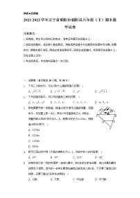 2021-2022学年辽宁省朝阳市朝阳县八年级（下）期末数学试卷（Word解析版）