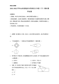 2021-2022学年山东省临沂市莒南县七年级（下）期末数学试卷（Word解析版）