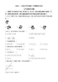 江苏省连云港市东海县2021-2022学年七年级下学期期末数学试题