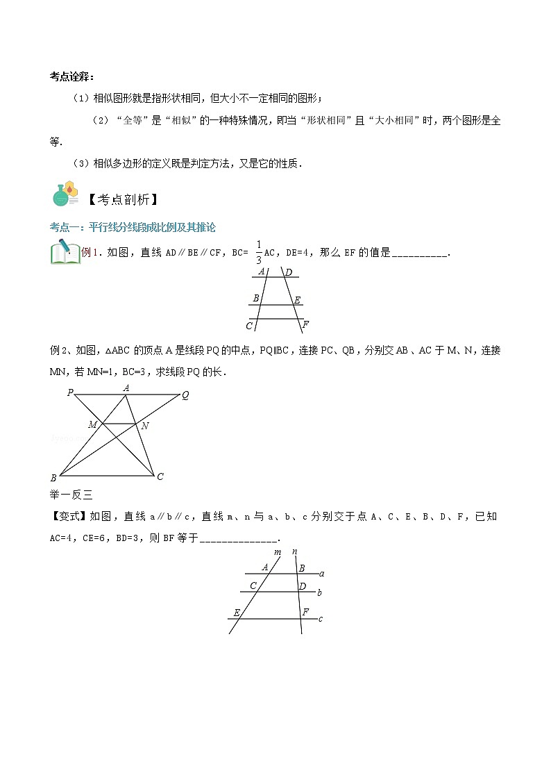 第10讲 成比例线段及相似图形华师大版九年级上册数学专题讲义（原卷版+解析版）02