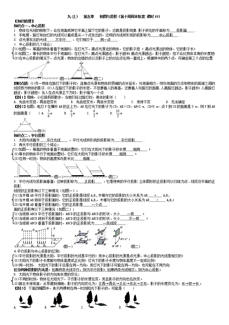 北师大版九年级上册数学：第10周末教案+强化（学生版）01