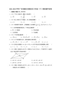 广东省湛江市麻章区2021-2022学年八年级下学期期末考试数学试题(word版含答案)