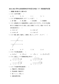 云南省普洱市宁洱县2021-2022学年七年级下学期期末数学试卷(word版含答案)