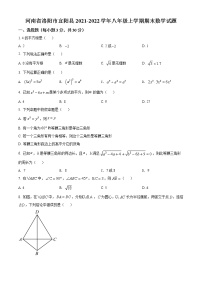 河南省洛阳市宜阳县2021-2022学年八年级上学期期末数学试题(word版含答案)