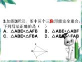 人教版八年级数学  全等三角形复习课 （共26张PPT）