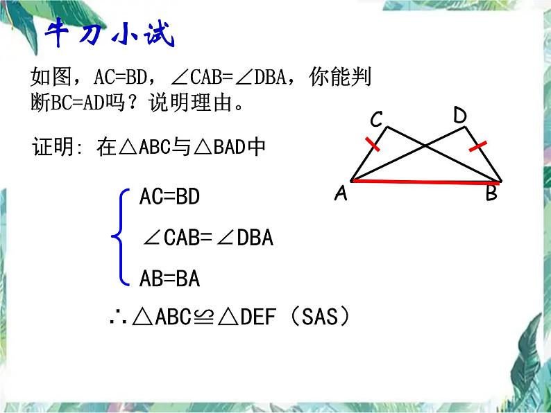 人教版 八年级上册 数学 课件 第十二章  全等三角形（复习）(共14张PPT)第4页