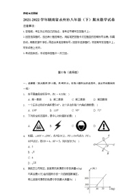 2021-2022学年湖南省永州市八年级（下）期末数学试卷（Word解析版）