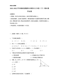 2021-2022学年湖南省衡阳市耒阳市七年级（下）期末数学试卷（Word解析版）
