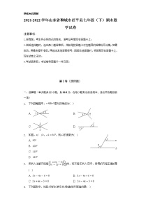 2021-2022学年山东省聊城市茌平县七年级（下）期末数学试卷（Word解析版）