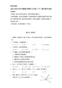 2021-2022学年安徽省芜湖市七年级（下）期末数学试卷（Word解析版）