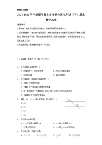 2021-2022学年新疆乌鲁木齐市新市区七年级（下）期末数学试卷（Word解析版）