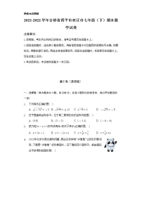 2021-2022学年吉林省四平市双辽市七年级（下）期末数学试卷（Word解析版）