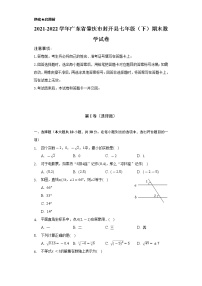 2021-2022学年广东省肇庆市封开县七年级（下）期末数学试卷（Word解析版）