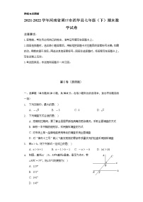 2021-2022学年河南省周口市西华县七年级（下）期末数学试卷（Word解析版）