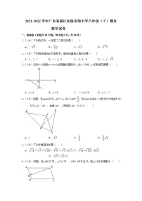 广东省湛江市初级实验中学2021-2022学年八年级下学期期末数学试卷(word版含答案)