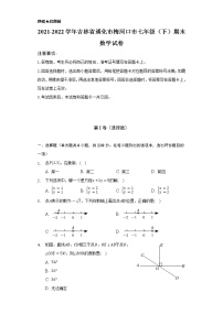 2021-2022学年吉林省通化市梅河口市七年级（下）期末数学试卷（Word解析版）