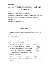 2021-2022学年江苏省苏州市高新实验初中七年级（下）期末数学试卷（Word解析版）