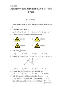 2021-2022学年黑龙江省鸡西市虎林市八年级（下）期末数学试卷（Word解析版）