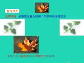 2022八年級數(shù)學(xué)上冊第13章全等三角形13.2三角形全等的判定第1課時同步課件新版華東師大版