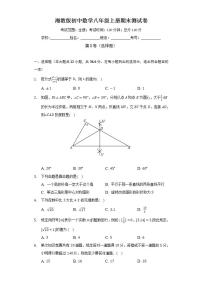 湘教版初中数学八年级上册期末测试卷（较易）（含答案解析）