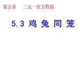 5.3鸡兔同笼课件2021-2022学年北师大版数学八年级上册+