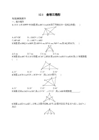 人教版八年级上册12.1 全等三角形巩固练习